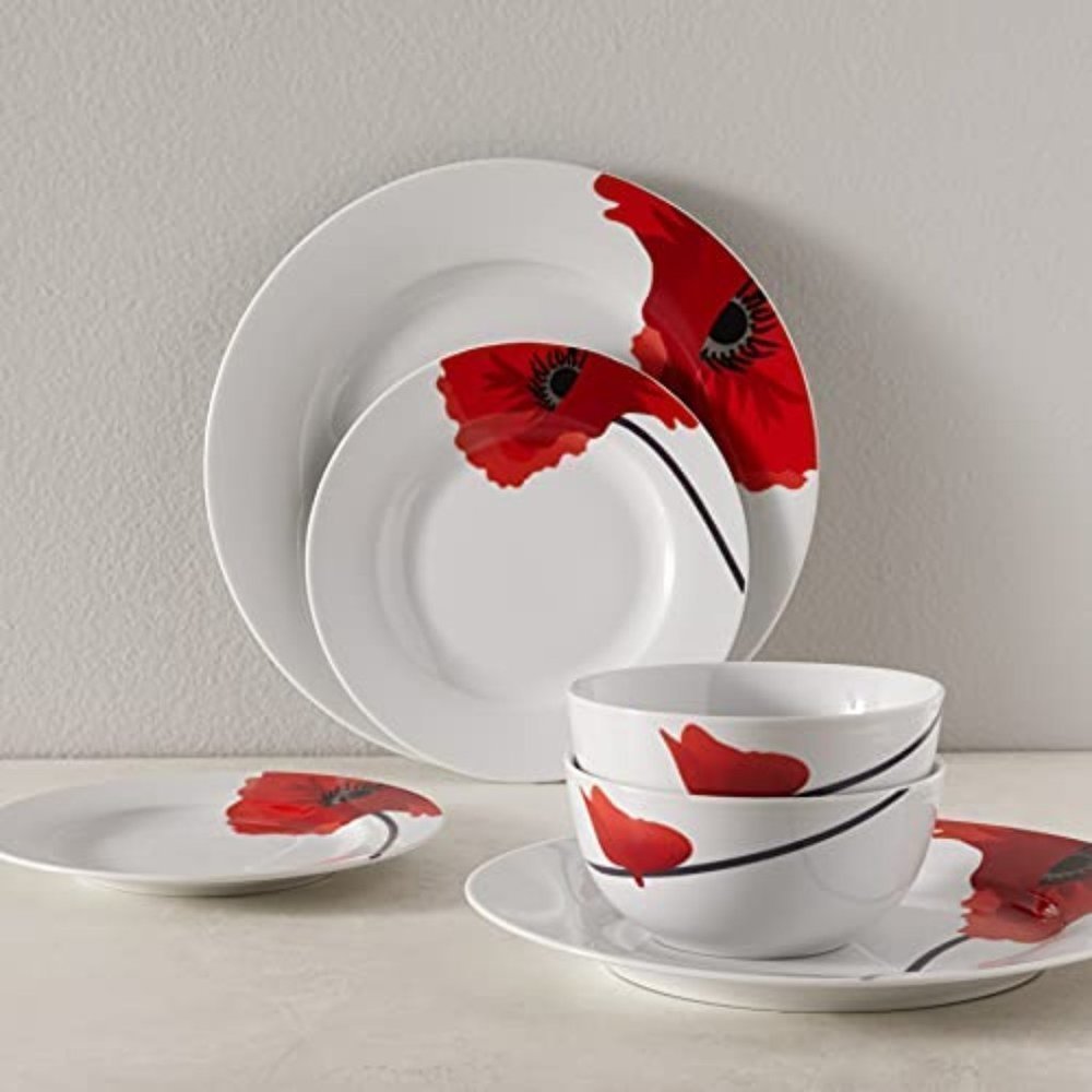 Amazon Basics 5 piece plate set